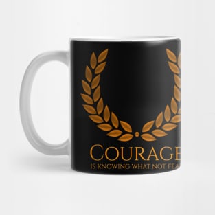 Courage is knowing what not to fear - Plato Mug